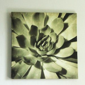 Art 19