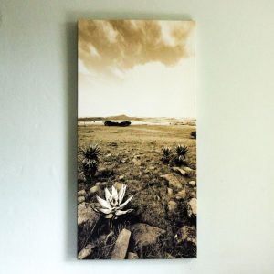 Art 21
