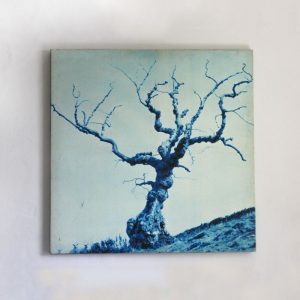 Art 27