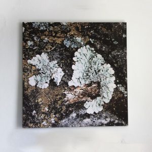 Art 28