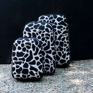 Luggage 1