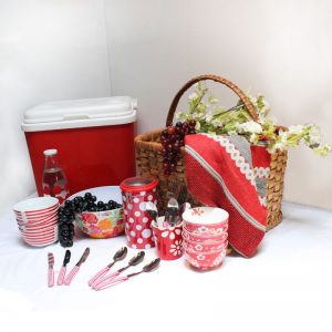 Picnic 3