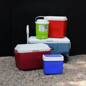 Picnic 7