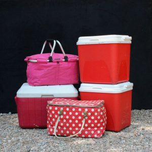 Picnic 8