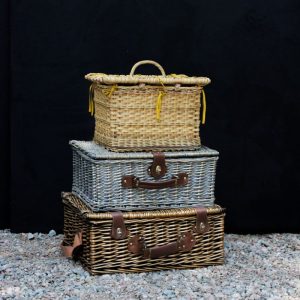 Picnic 12