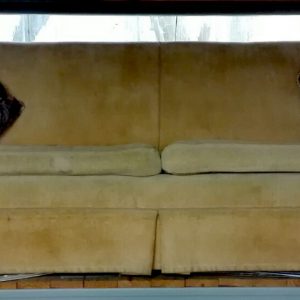 couch cream labrador 3 seater