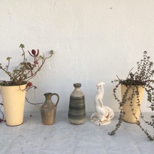 smalls with plants