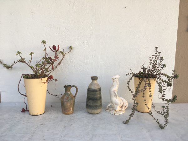 smalls with plants