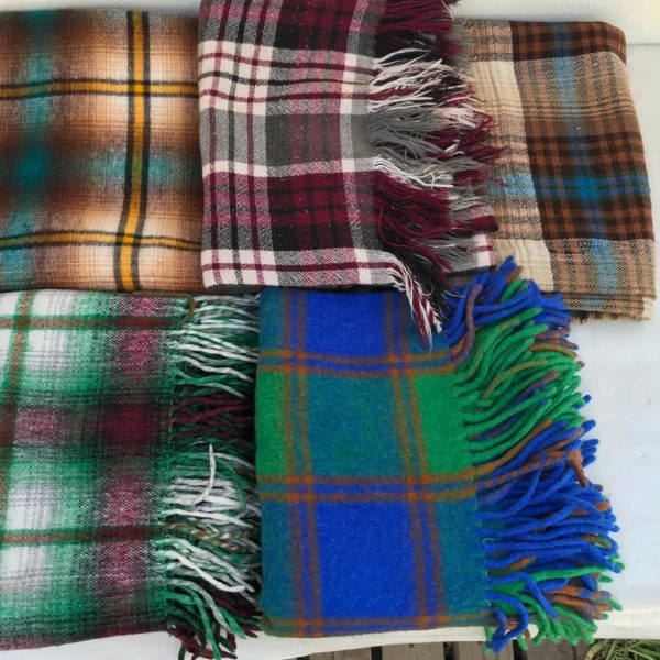 blankets gogo check